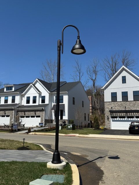Regency 10502LED-GF single post lighting.